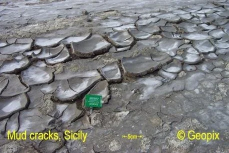 mud-cracks-sicily.jpg
