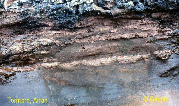 tormore-arran-mud-flakes-cross-section.jpg