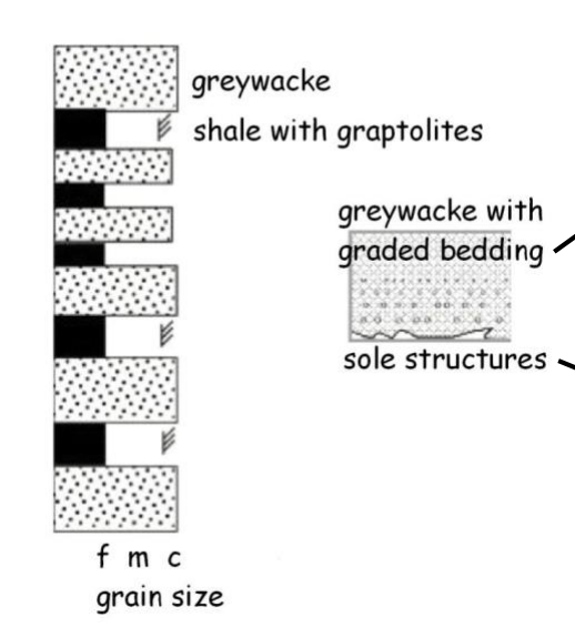 graphic-log-greywacke-sequence.png