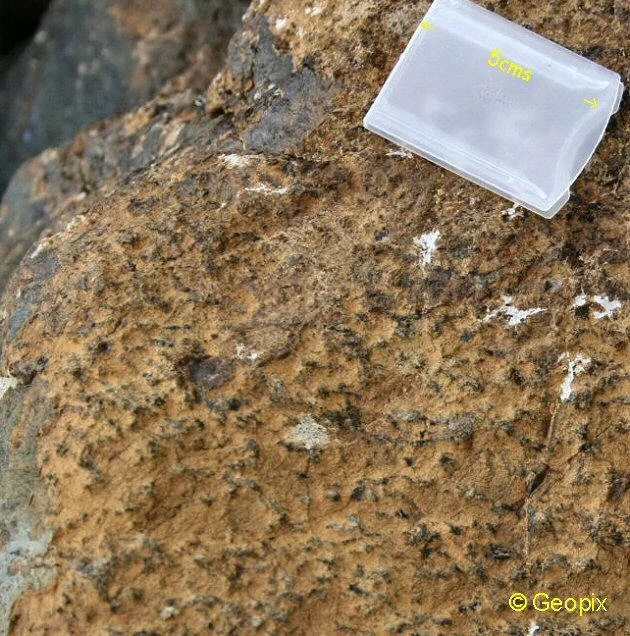 peridotite-weathered-orange-surface.jpg