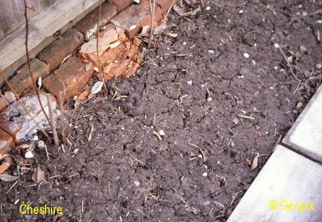 frost-damage-bricks-patterned-ground.jpg