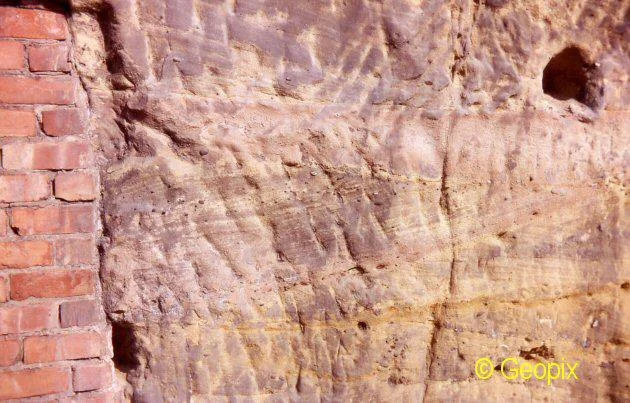 current-or-dune-bedding-question-1.jpg