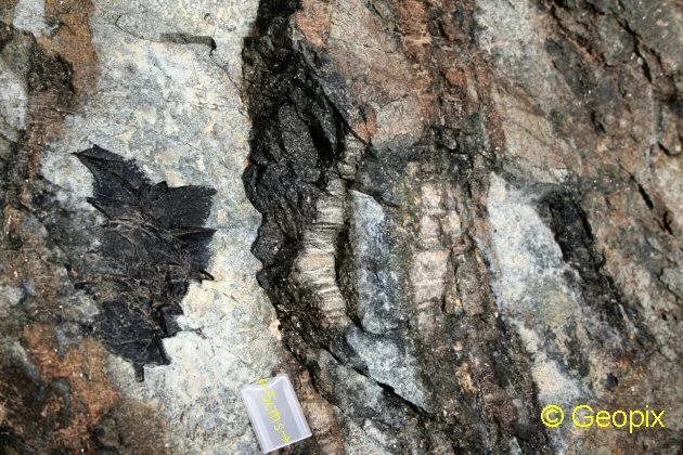 banded-ultramafic-xenolith-olivine-pyroxenite.jpg