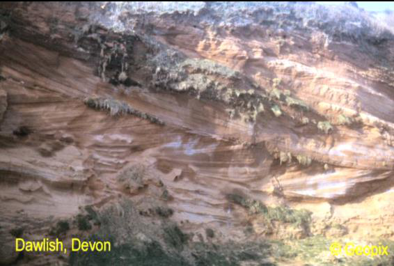 dune-bedding-migrating-dunes-dawlish.png