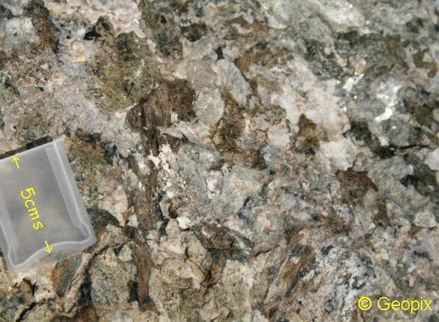 pegmatitic-gabbro-in-ultramafic.jpg