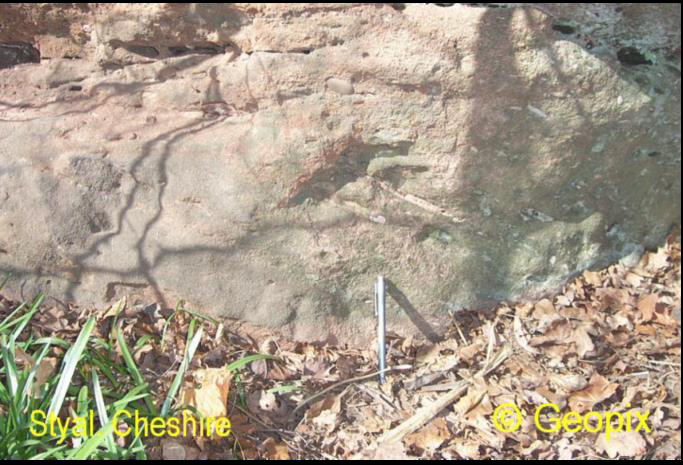 styal-cheshire-mud-flakes.png