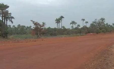 laterite-road-gambia.jpg