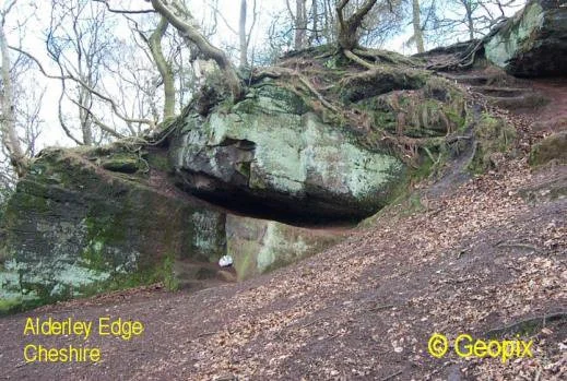 alderley-edge-cheshire-sandstone.jpg