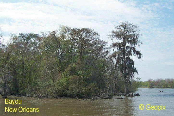 bayou-new-orleans-1.jpg