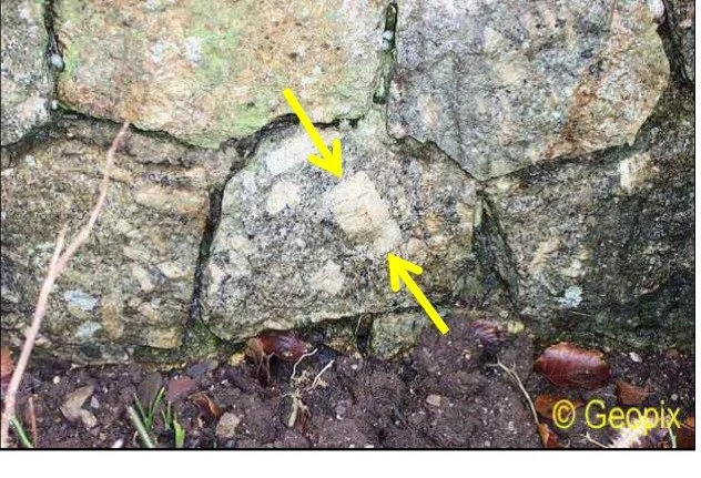 orthoclase-phenocrysts-twinning.jpg