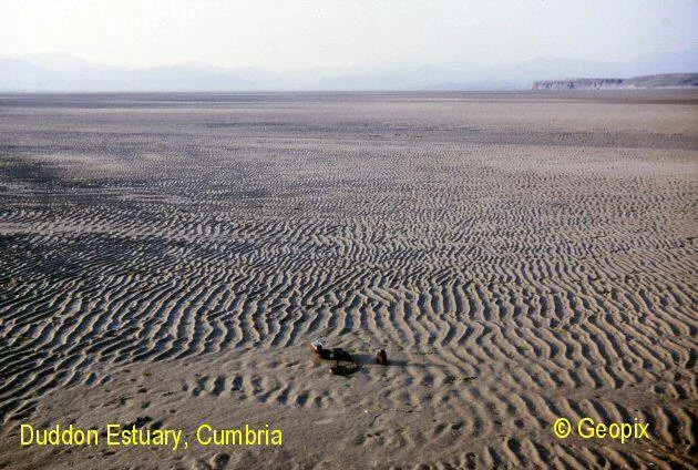 symmetrical-ripples-duddon-estuary.jpg