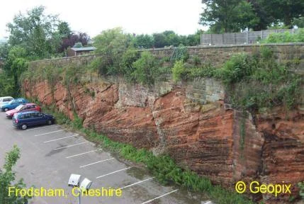 dune-bedding-frodsham-cheshire-1.jpg