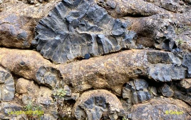 pillow-lava-glassy-rinds.jpg