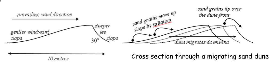 dune-migration-sketch-exam-hint.png