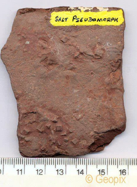 salt-pseudomorphs-underside-of-marl.jpg