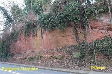 dune-bedding-bridgnorth.jpg