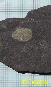 reduction-spot-slate.jpg