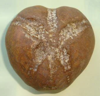 flint-nodule-echinoid.jpg
