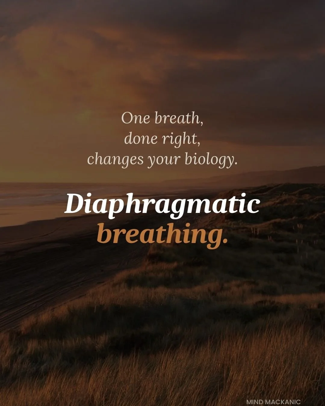 Your body has a built-in mechanism for calming itself down, and most people never learn how to use it intentionally.

The vagus nerve runs from your brainstem all the way through your chest and into your abdomen. It is the main line of communication 