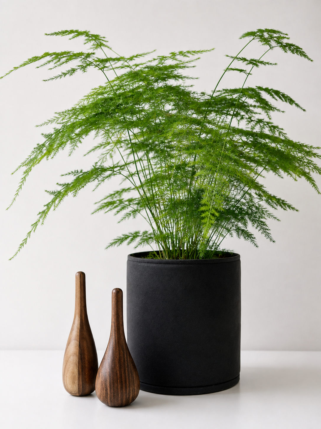 Stokkie en plant.png