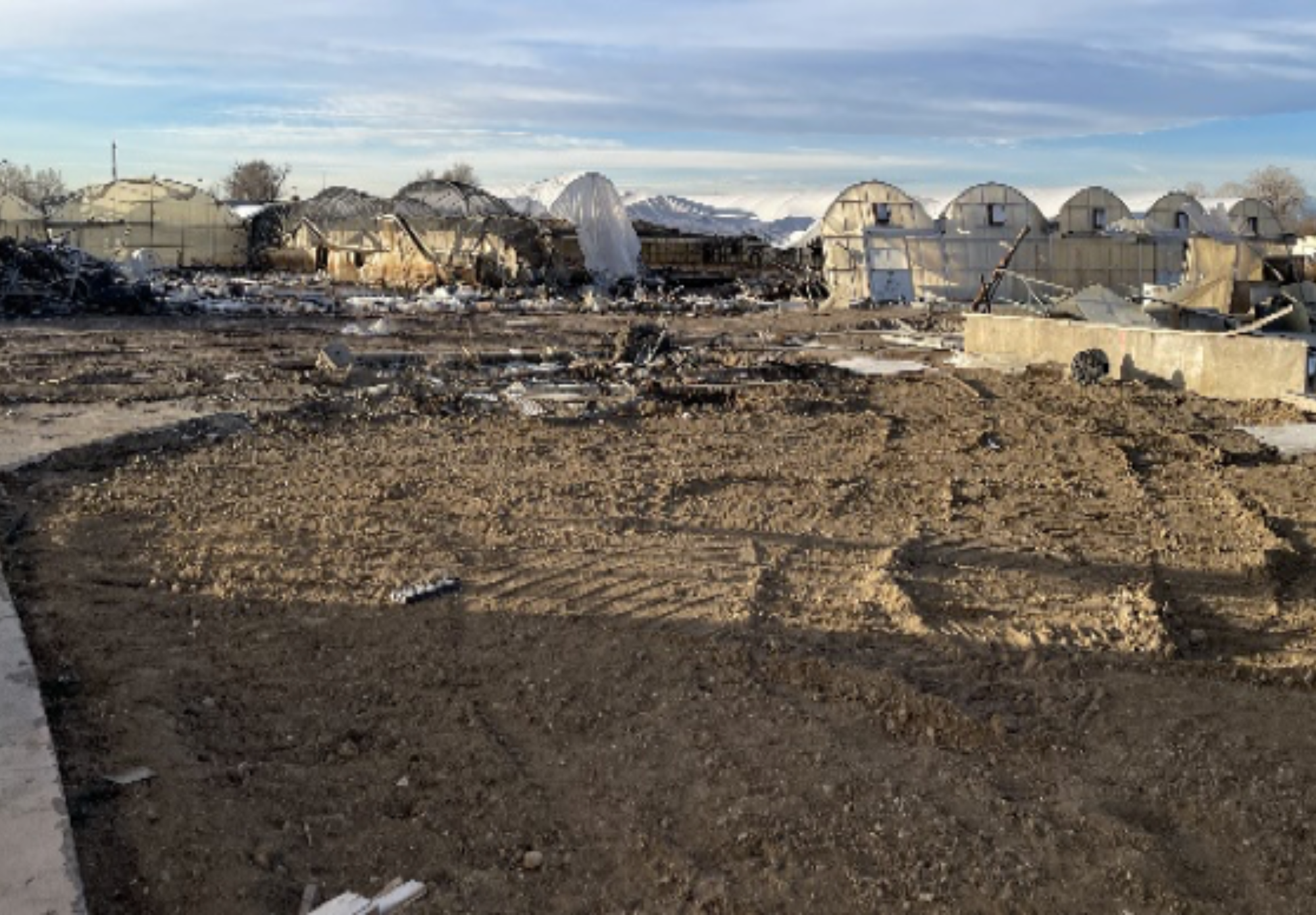 Botany Greenhouse.png