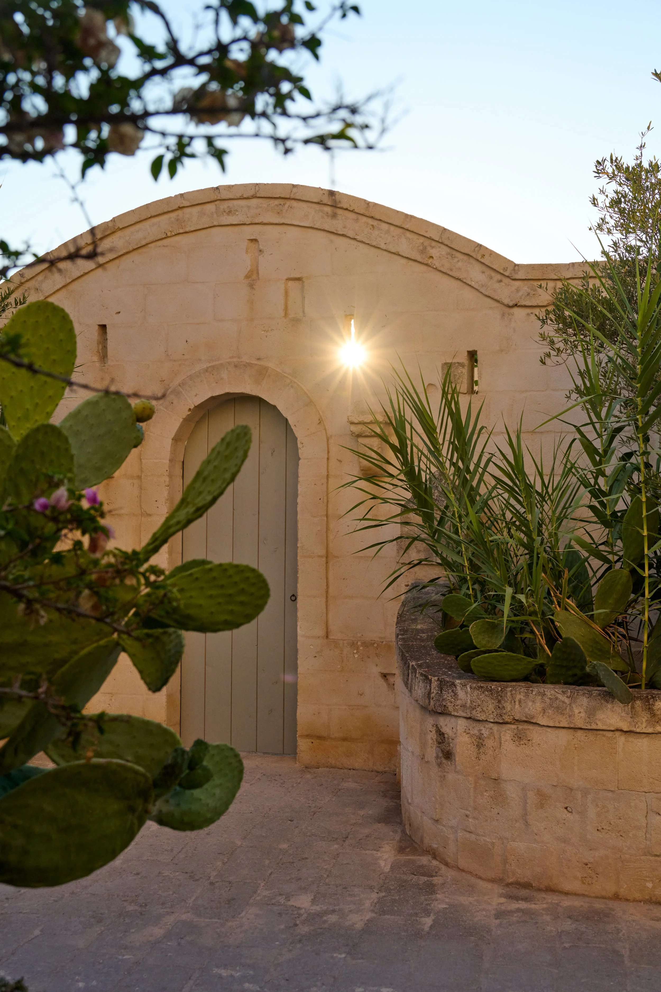 Sun shining through a small arched opening in a beige stone wall, with green desert plants and cactus in a curved stone planter in front.