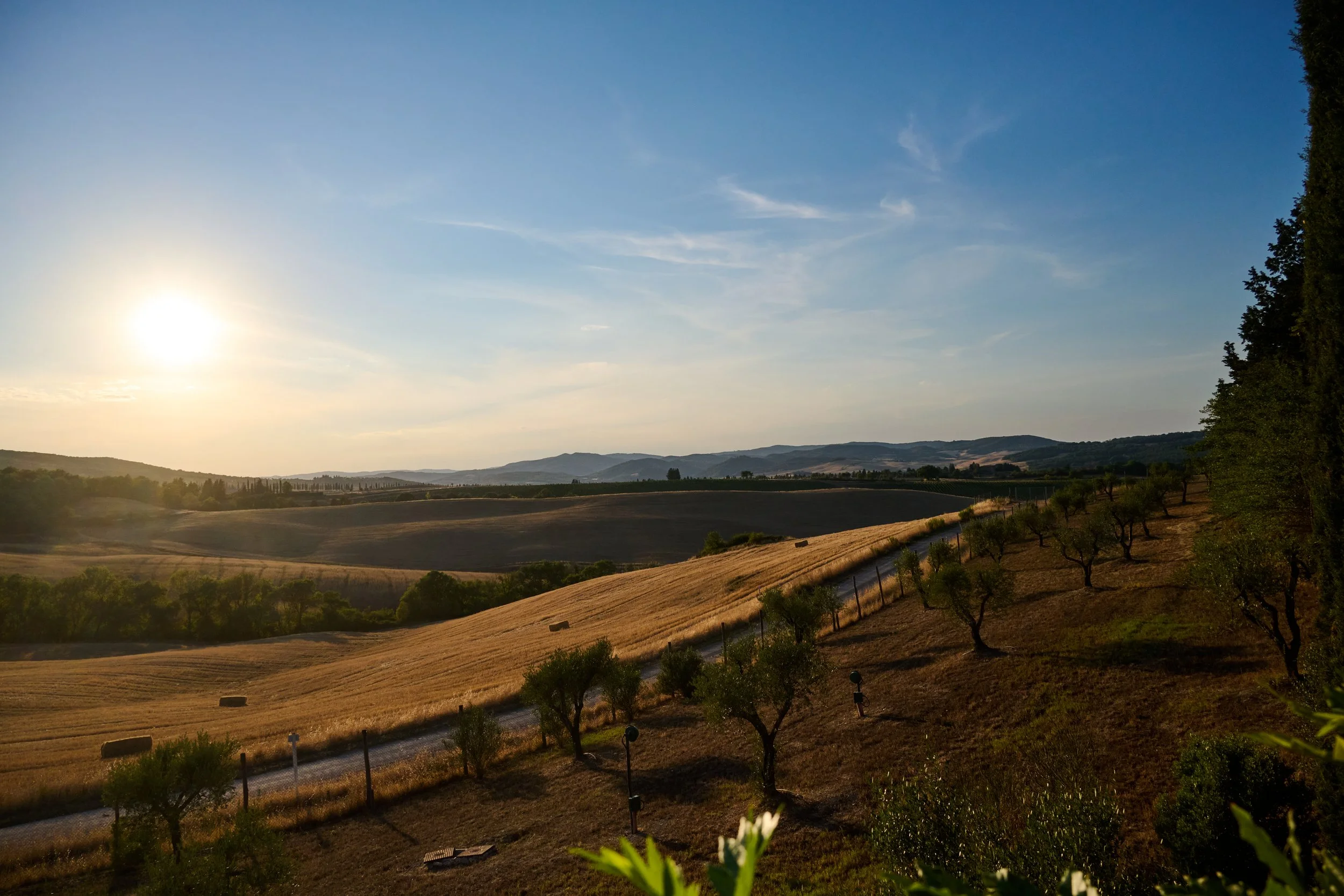Sunset over rolling hills with farm fields, hay bales, and a row of trees, in a rural landscape