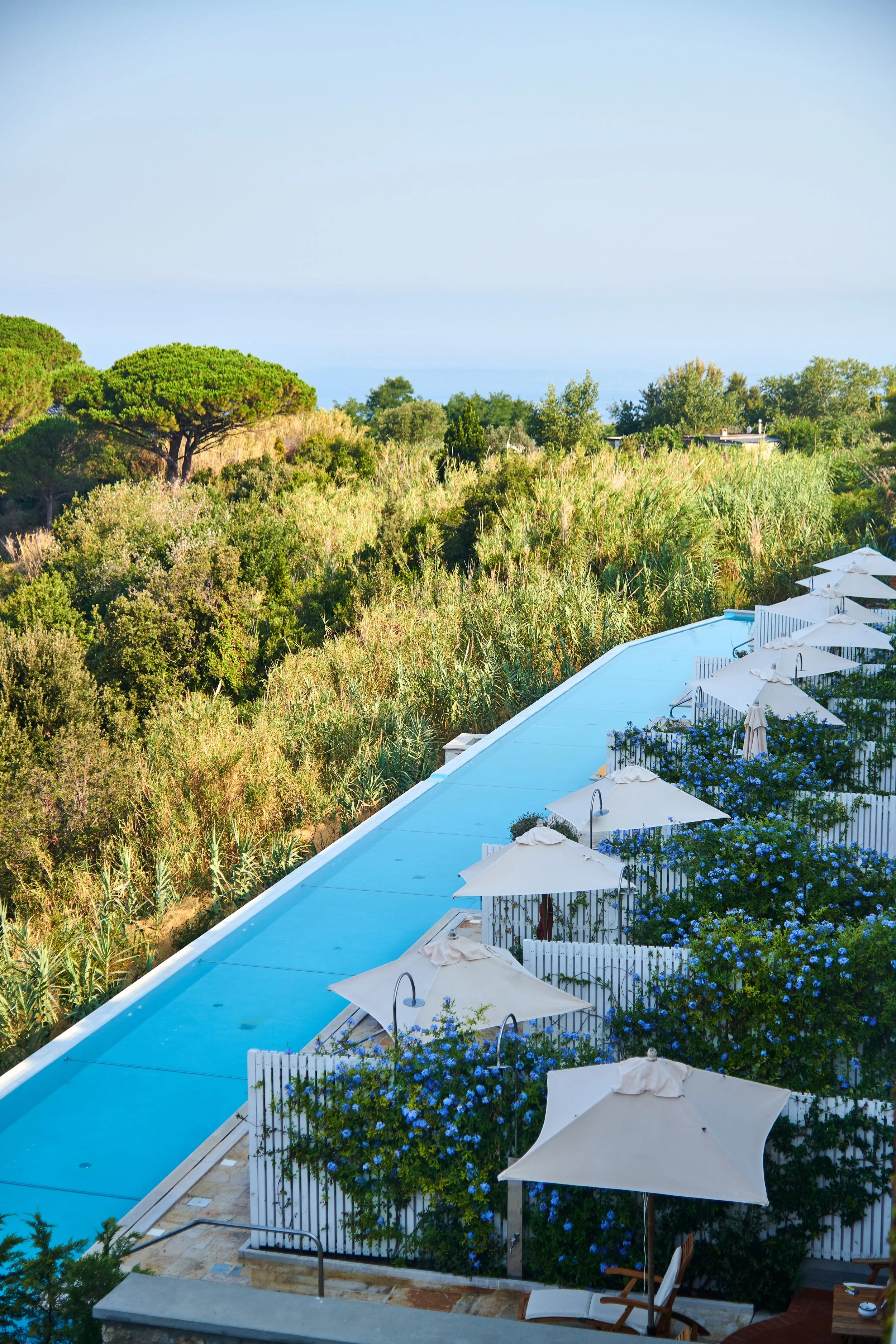 A swimming pool with white umbrellas and lounge chairs outdoors, surrounded by lush green trees and bushes.