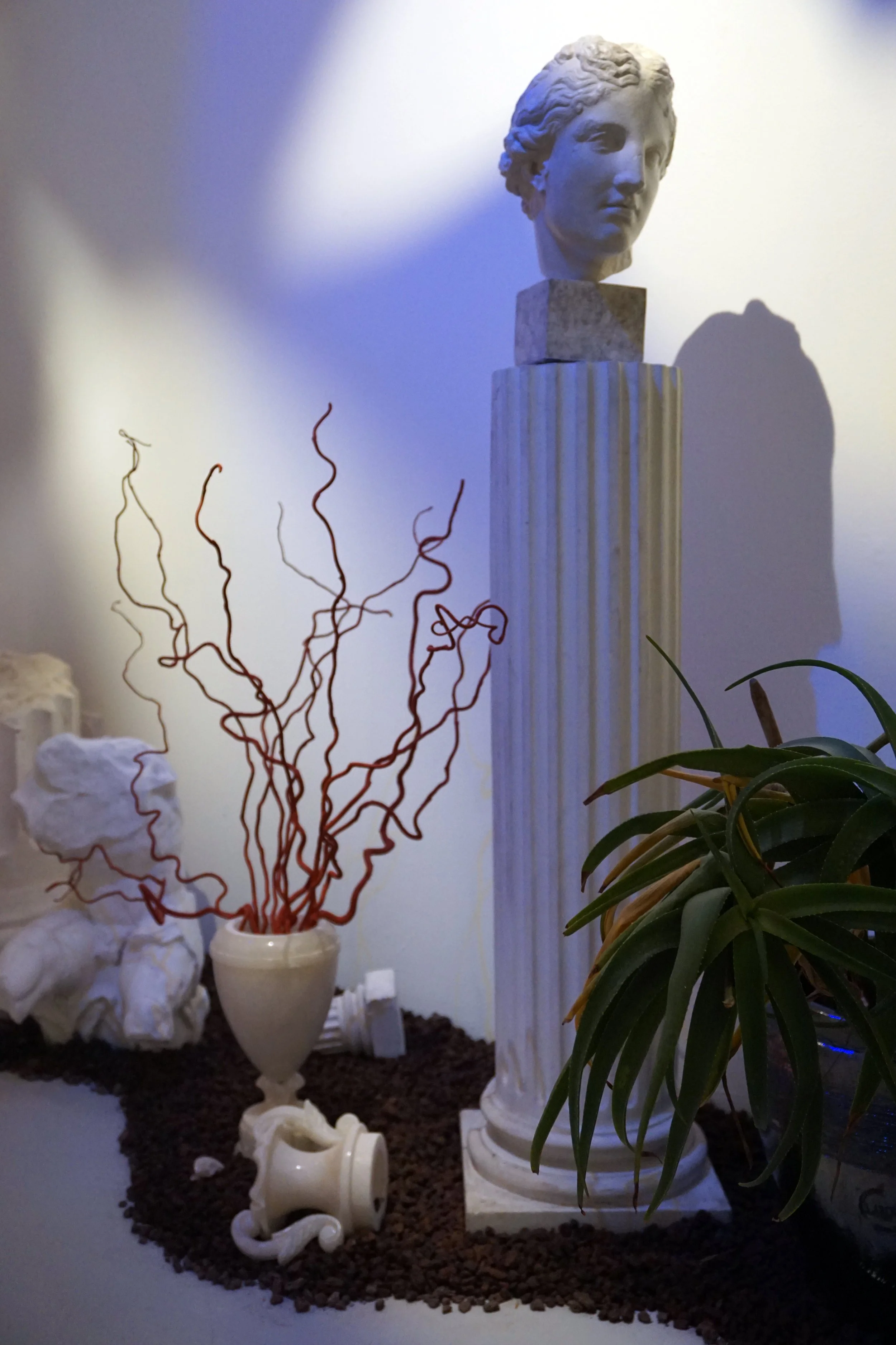 PHOTOS_1_The Earthly Paradise_Exposition_©VirginieSanna_52 copie.JPG