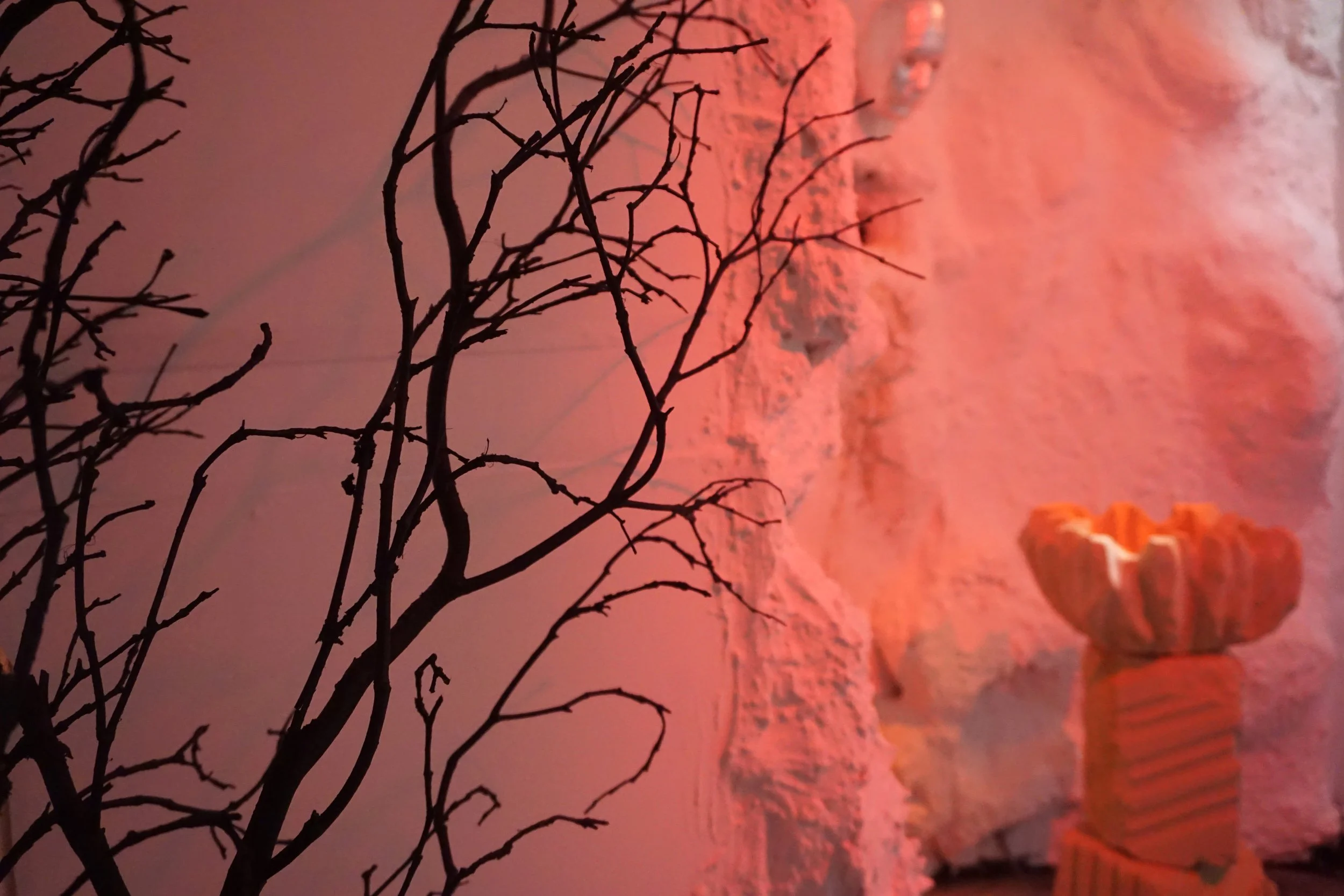PHOTOS_3_The Earthly Paradise_Exposition_©VirginieSanna_17.JPG