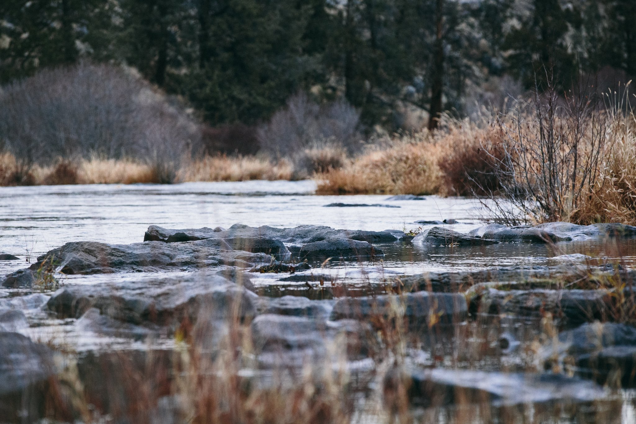 A scenic view of a river with rocks along the shoreline, dry grasses, and trees in the background, possibly during early morning or late afternoon.