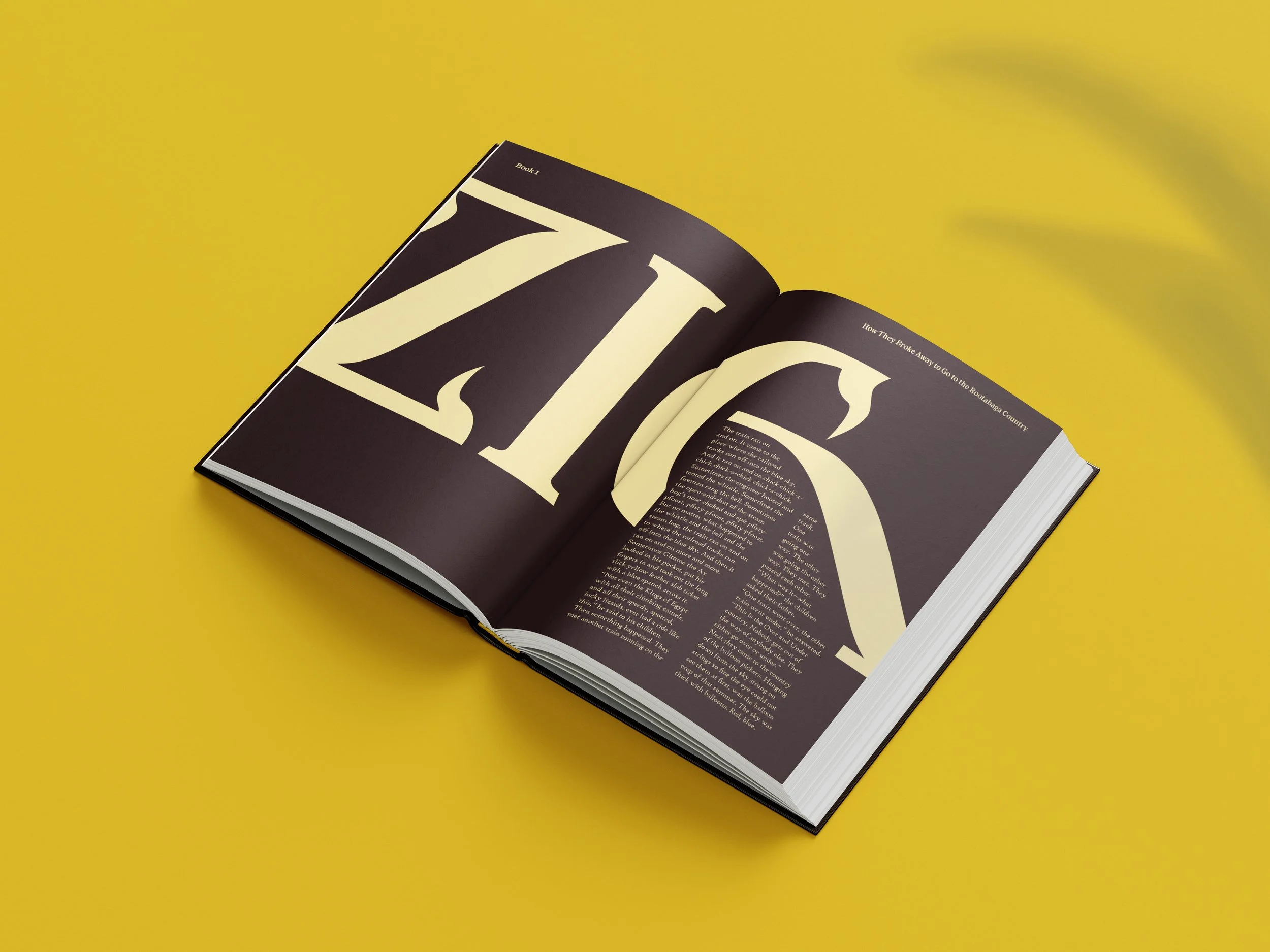 Book-inside-zig-mockup.jpg