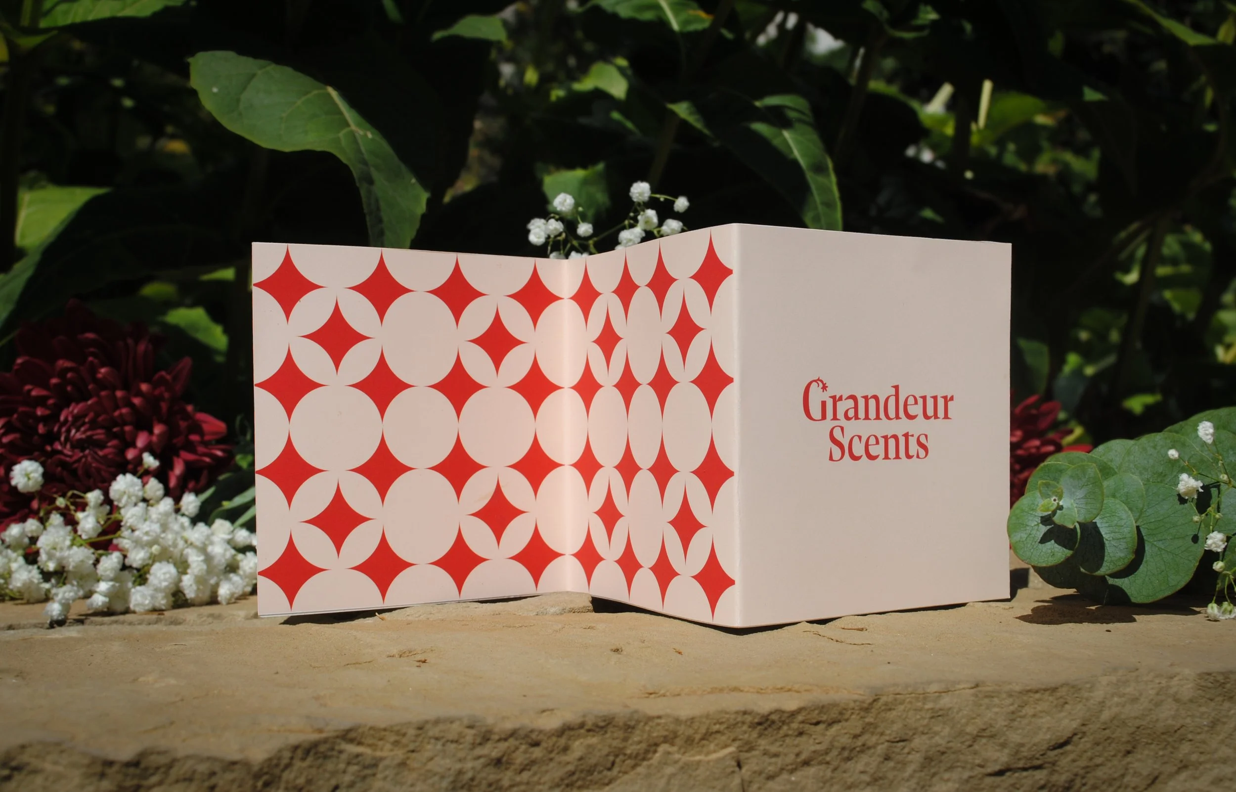 2010-09-01 20.16.46.jpg