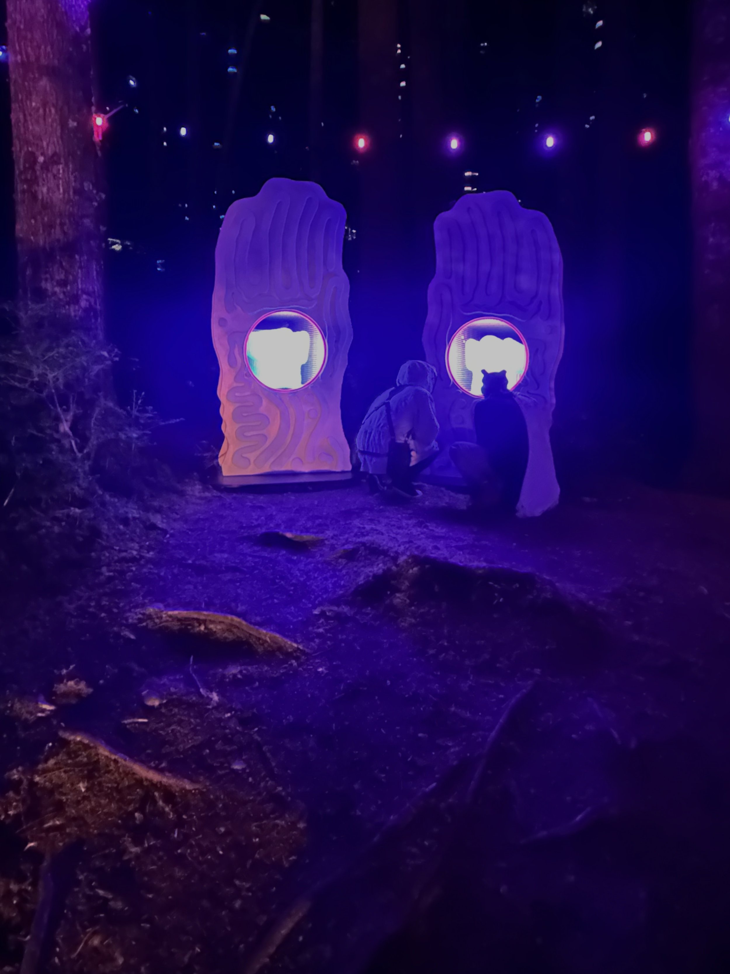 nocturnal invocation.jpg