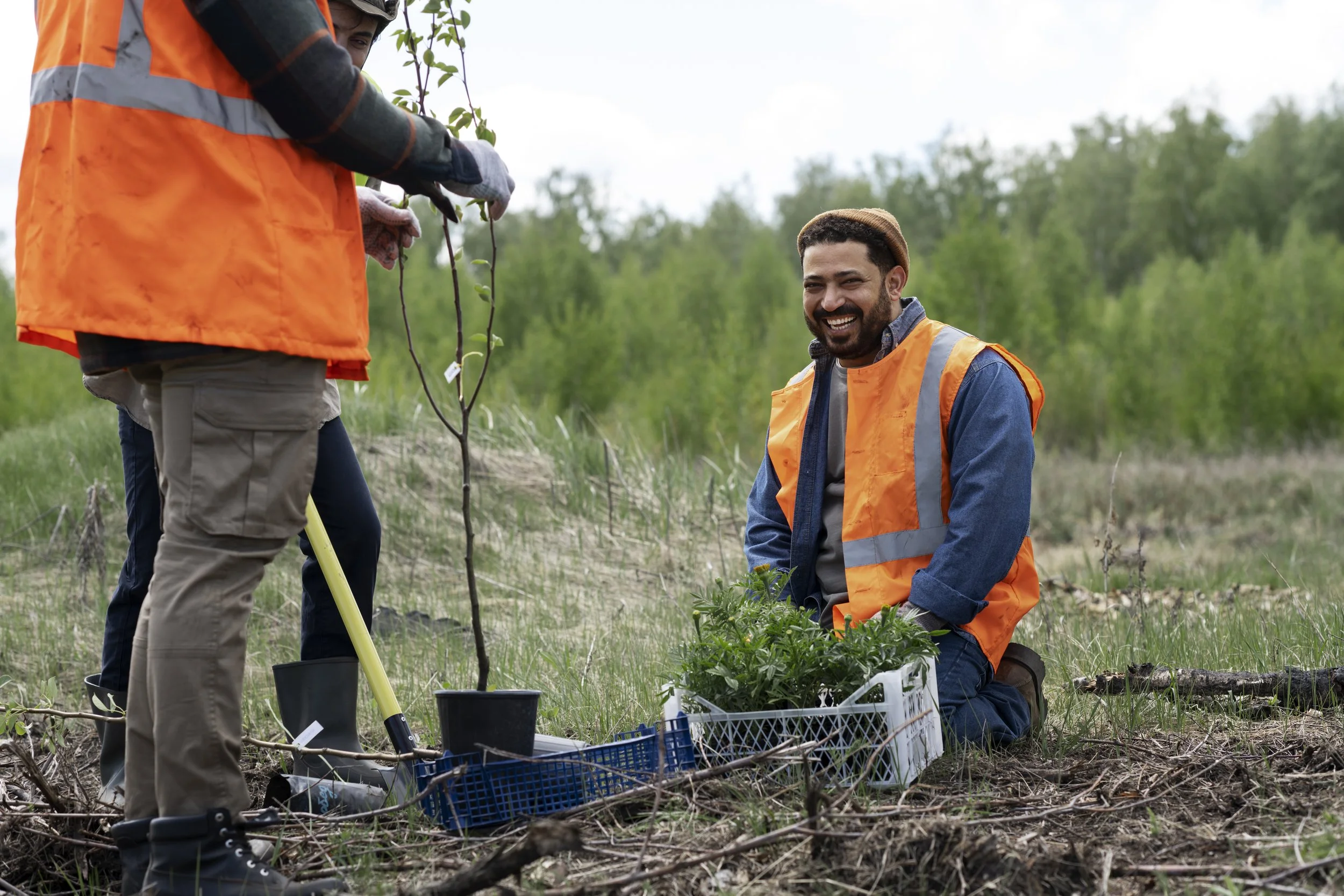 Two men planting a tree in a grassy field, both wearing orange safety vests, one kneeling with a plant and the other standing holding a small tree, surrounded by gardening tools and supplies.