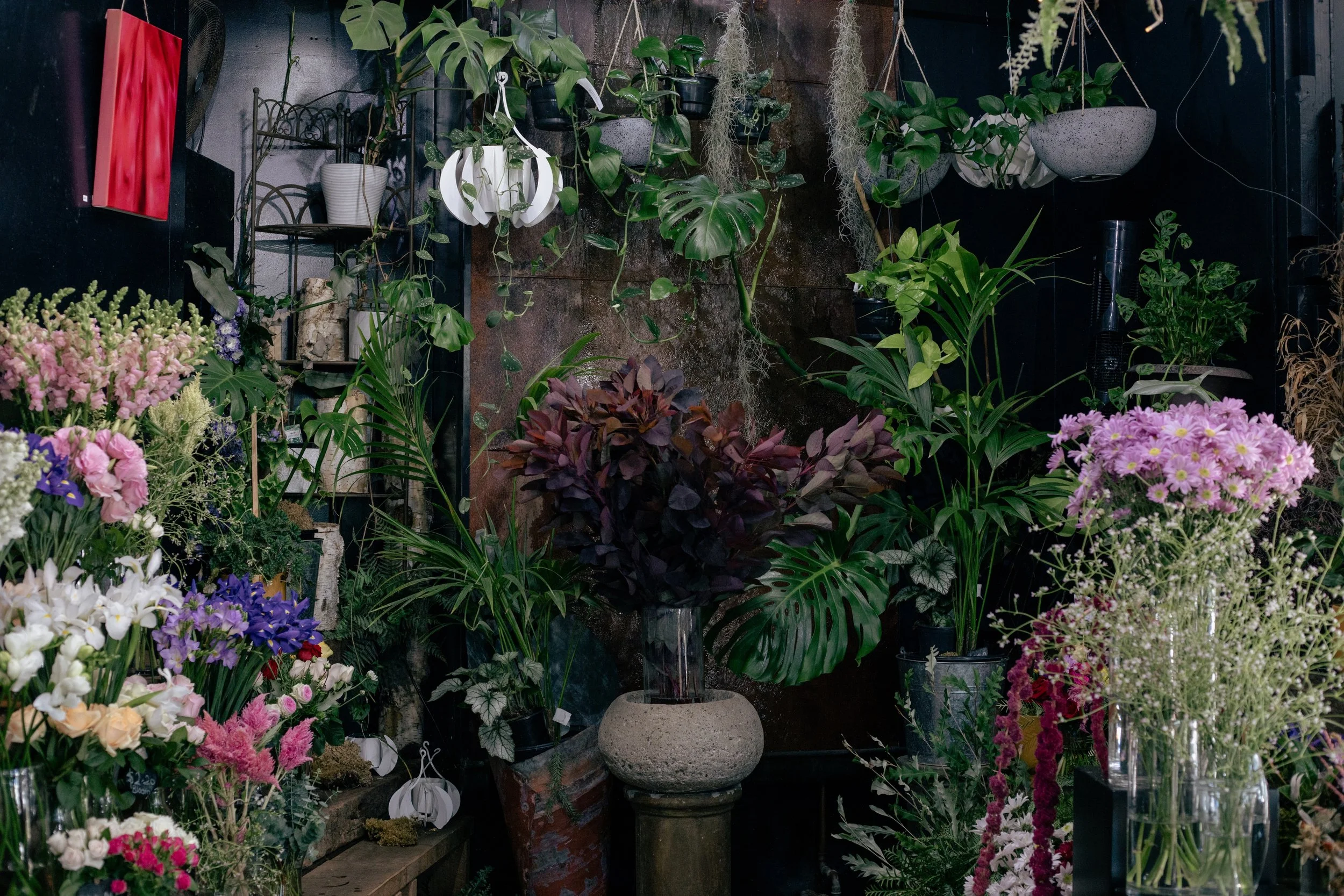 393A8622.jpg