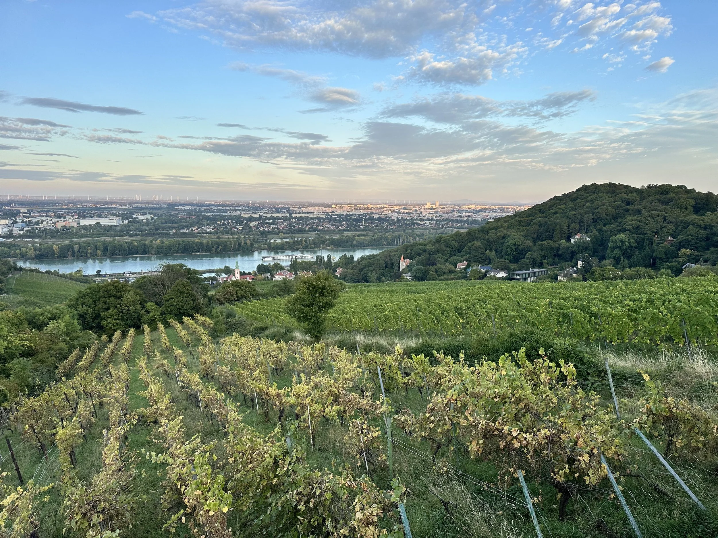 What is an AVA (And why it matters)