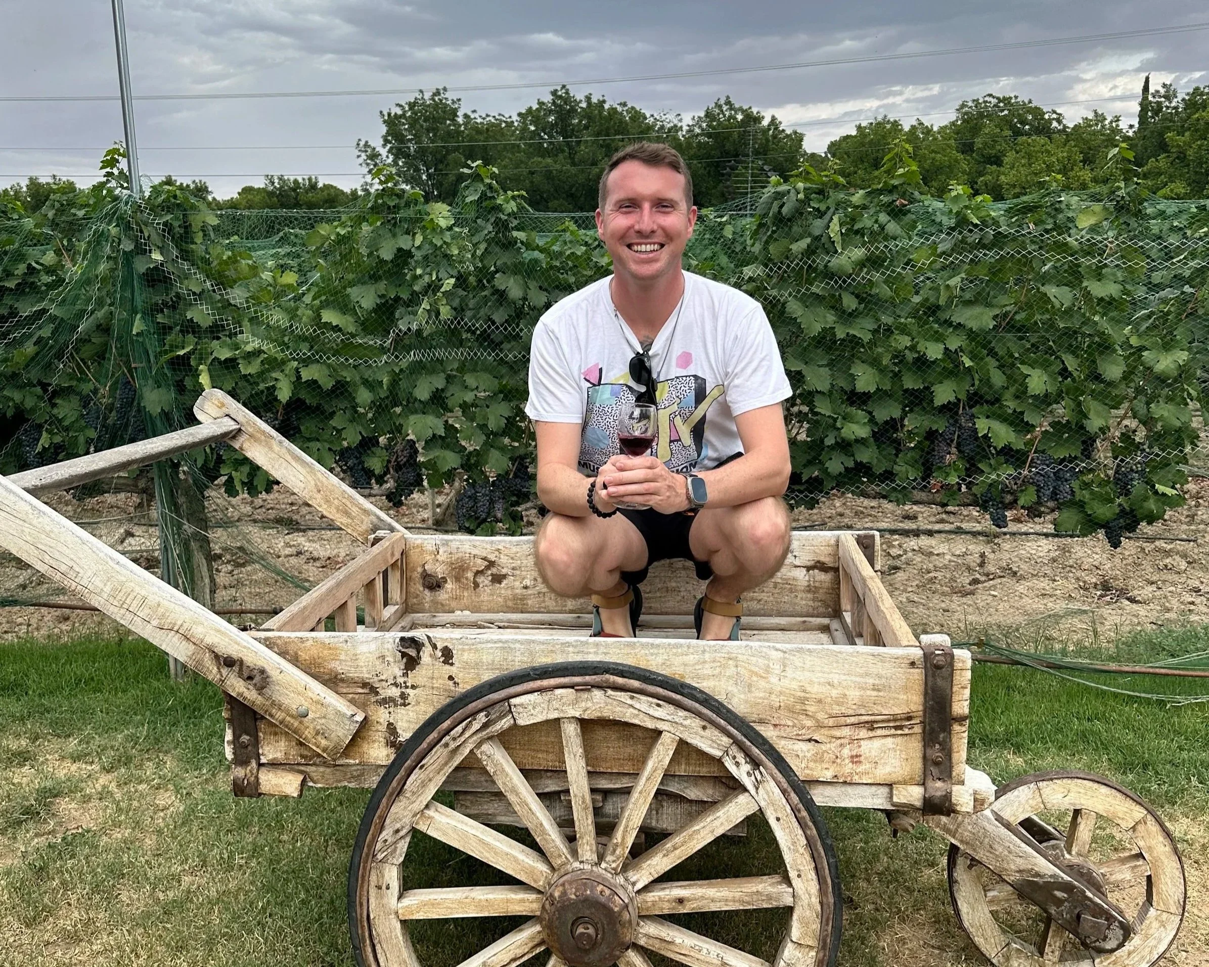 When Wine Started to Make Sense