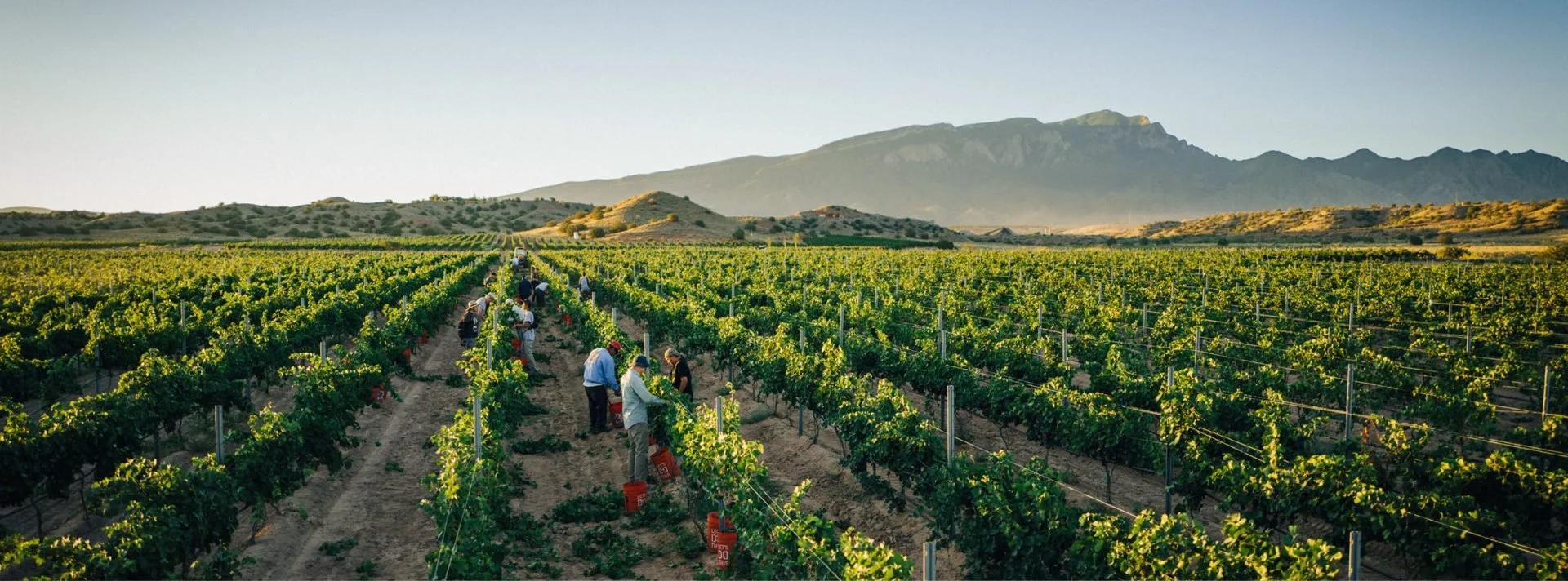 Day Trip Through Mesilla Valley