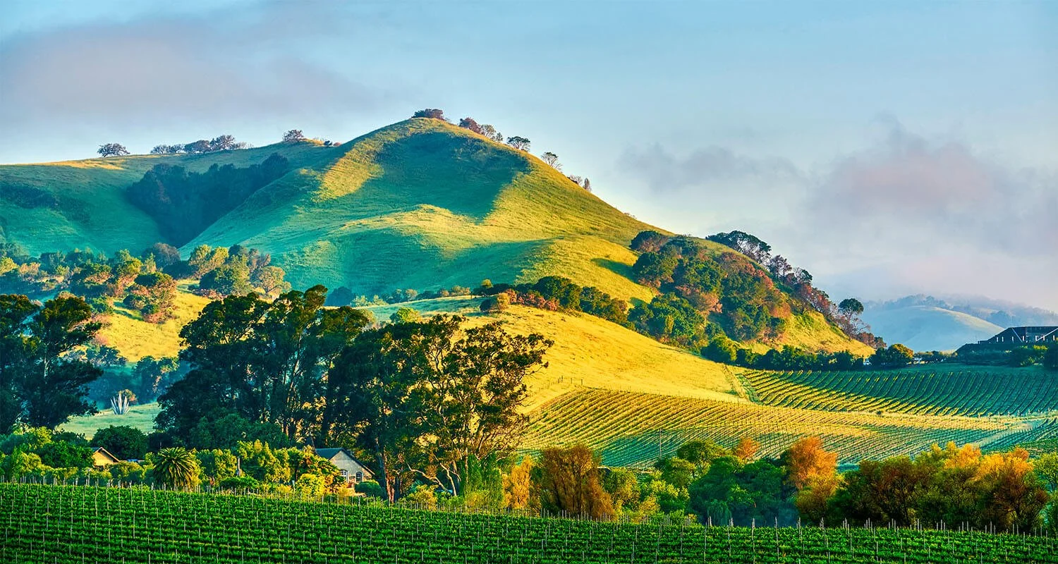 California Wine Is Changing