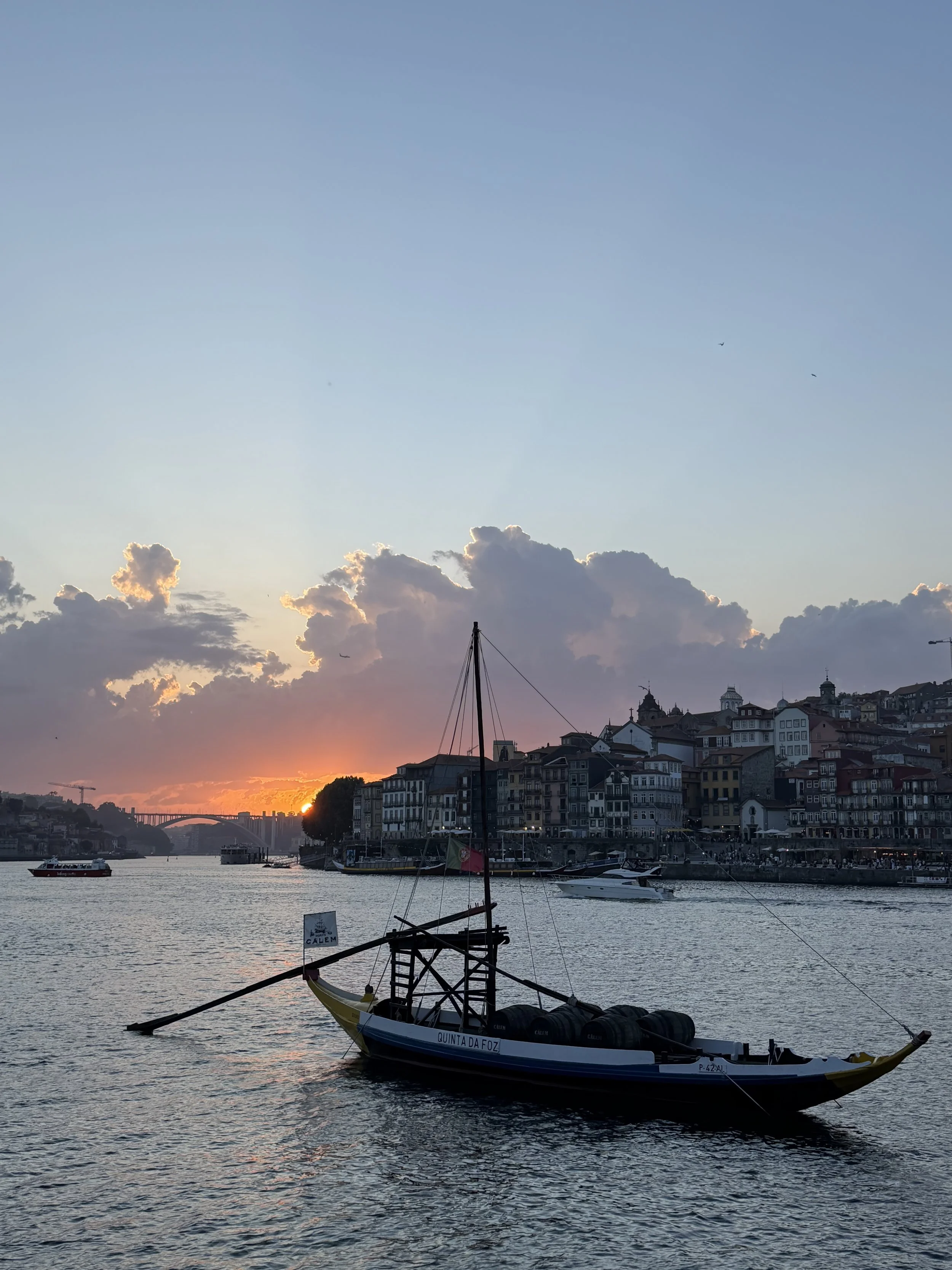Birth Years and Barrel Rooms: A Guide to Port Wine in Porto