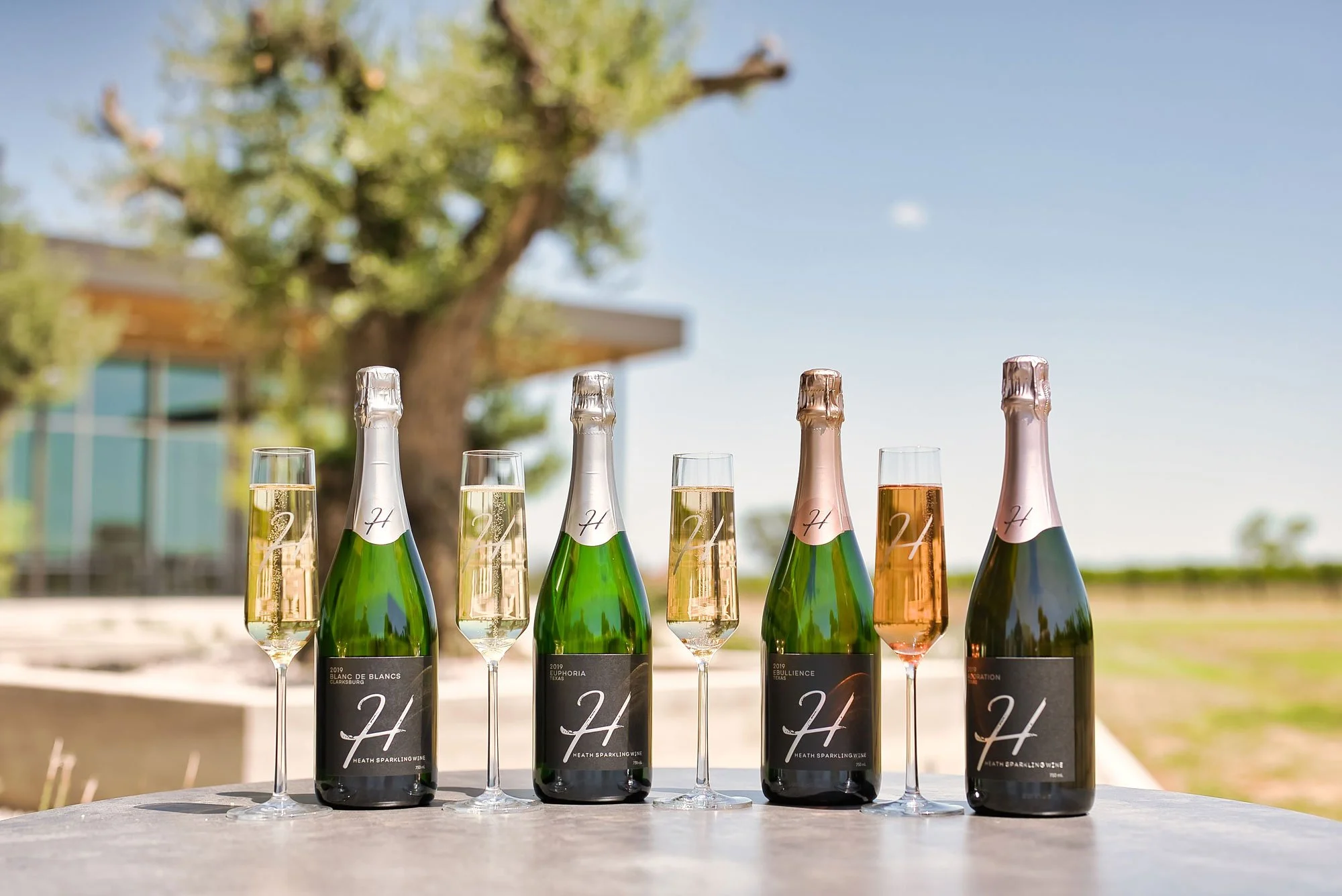 heath-sparkling-wine-fredericksburg-wines5.jpg