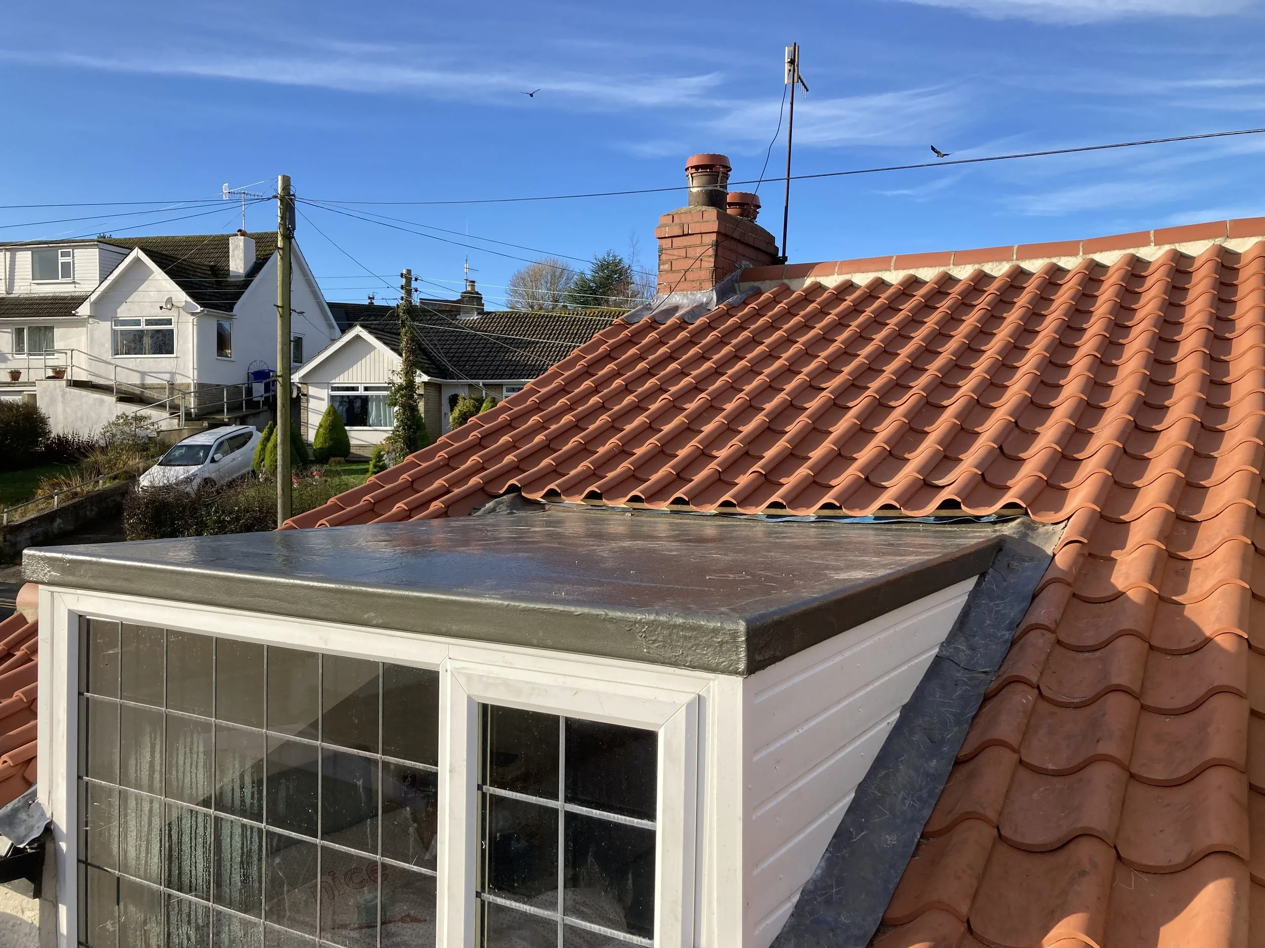 Wolf Trading Co - Dormer Extension