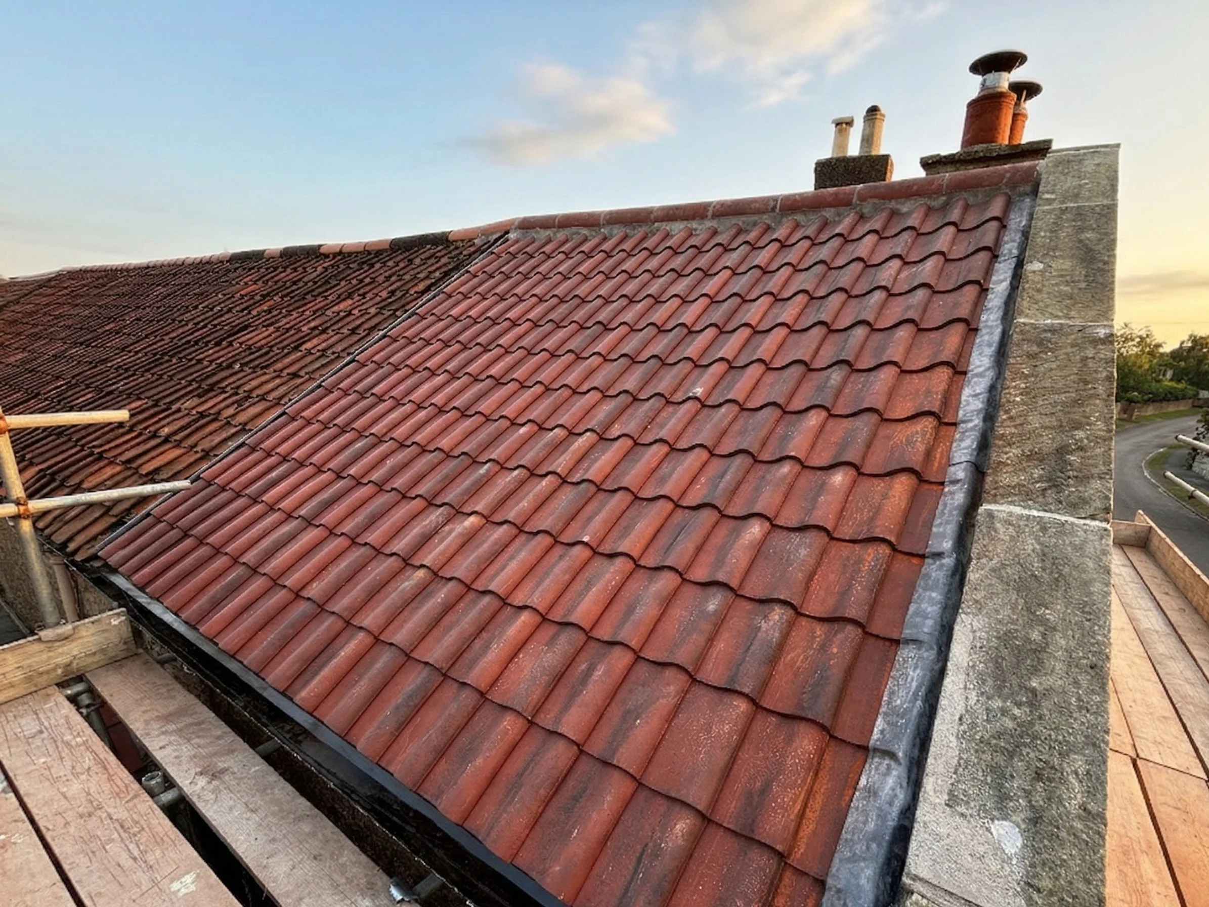 Wolf Trading Co - Tiled Roof