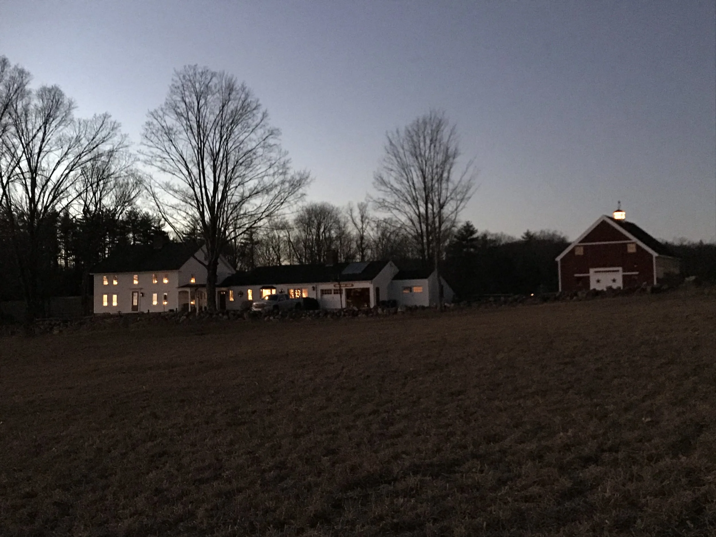 A residential neighborhood at dusk with houses illuminated from within, tall leafless trees, and a cloudy sky.