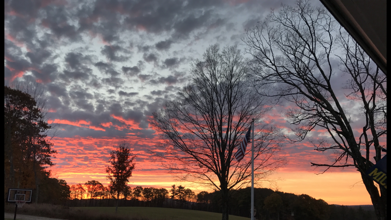 Colorful sunset sky with orange, pink, and purple clouds behind bare trees and a flagpole with an American flag in a park or open field.