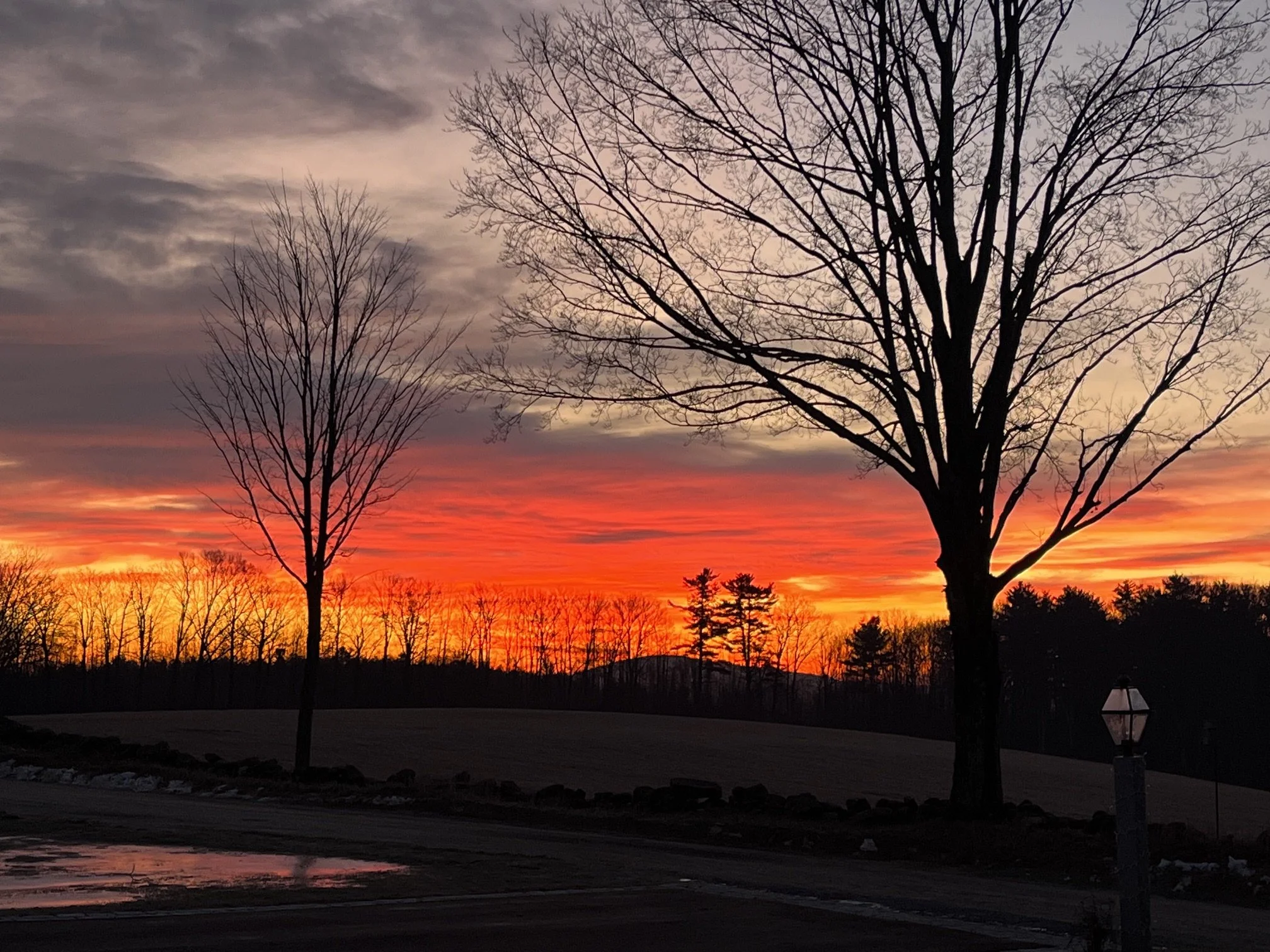 A sunset scene with a colorful sky filled with pink, orange, purple, and yellow hues and silhouettes of leafless trees in the foreground.