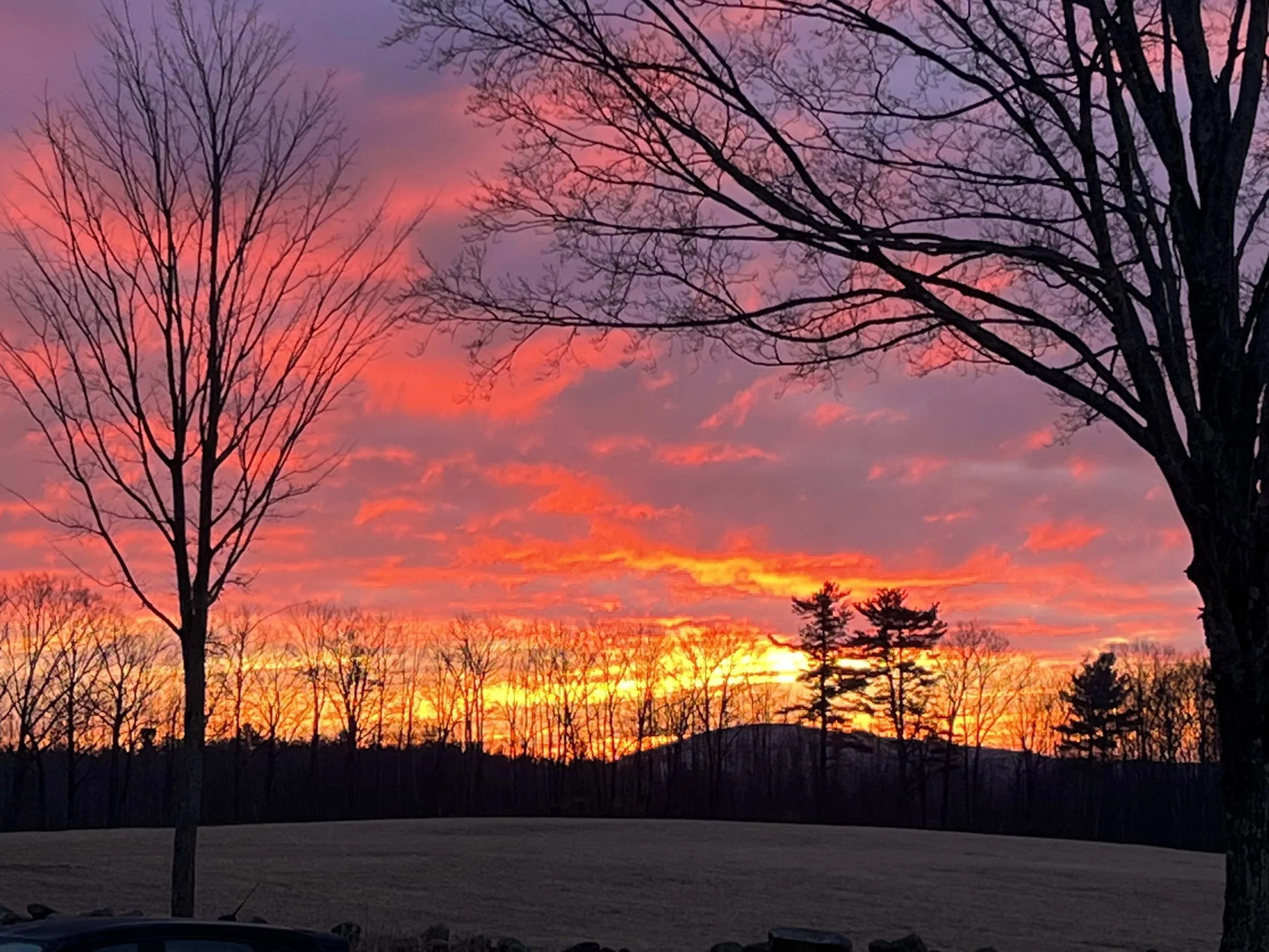 A sunset with vibrant orange, pink, purple, and blue colors in the sky, silhouetted trees with no leaves, and a plain foreground with a car and some grass.