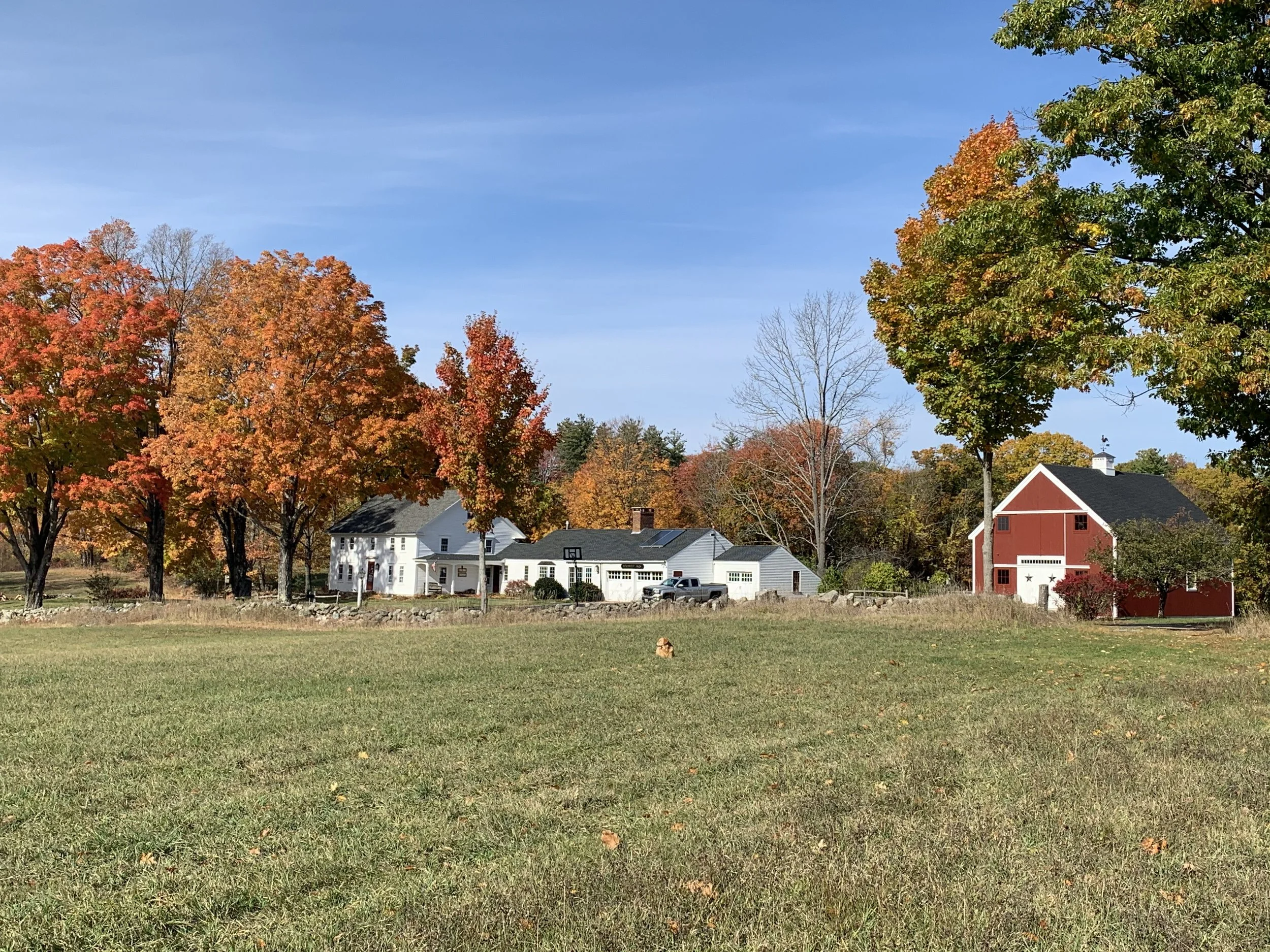 A rural landscape with large fall-colored trees, a red barn, and white homes under a clear blue sky.