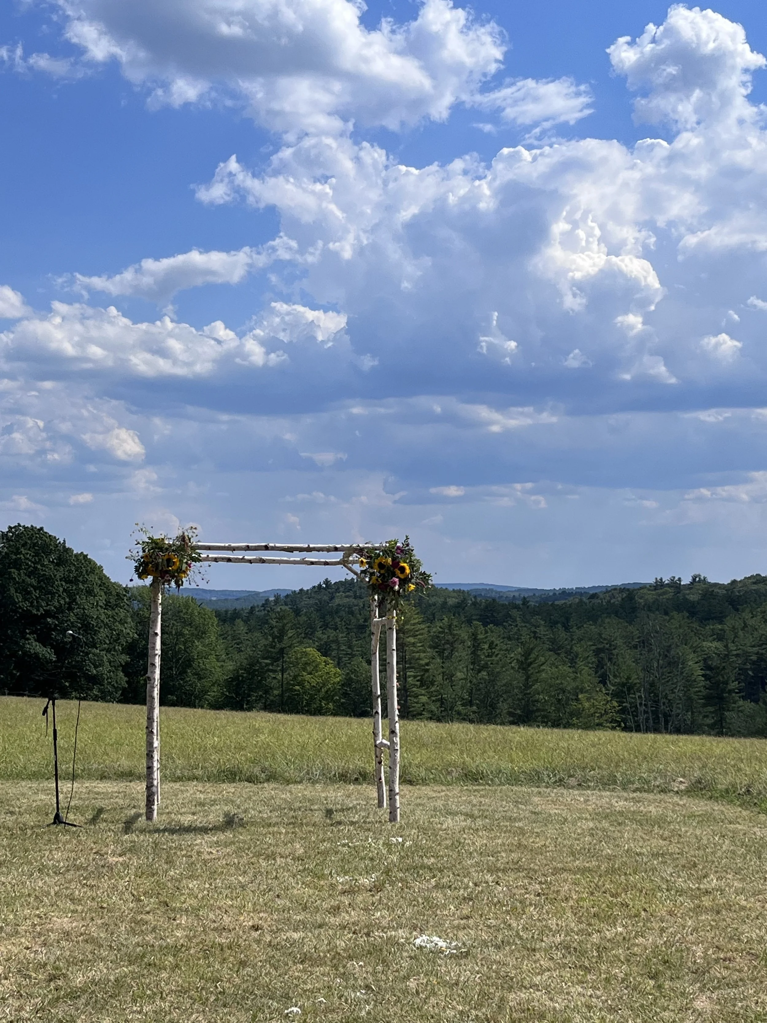 A wooden arch decorated with sunflowers and pink flowers stands outdoors on a grassy field, with mountains and a partly cloudy sky in the background.